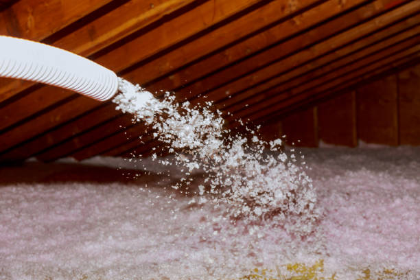 Types of Insulation We Offer in Tracyton, WA