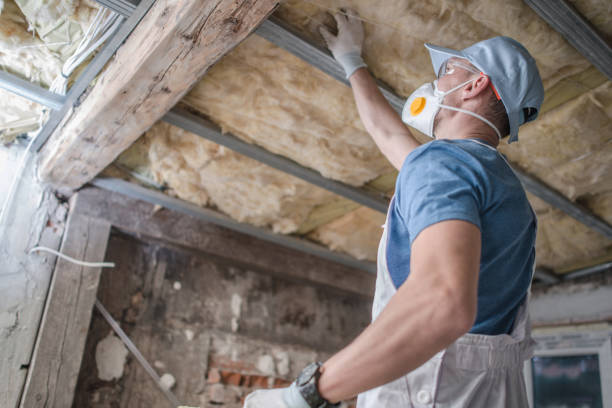 Best Specialized Insulation Services in Tracyton, WA