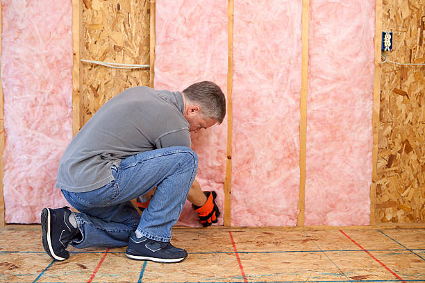 Best DIY Insulation Kits and Guidance in Tracyton, WA